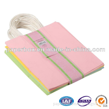 Kraft Paper Bag (FXS-254)